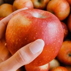 Hawk's Pumpkin Patch - Best apples!