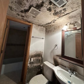PUDDLES Restoration - Damage Restoration Near Me - Gainesville, Florida PUDDLES Restoration - Damage Restoration Near Me - Gainesville, Florida