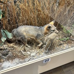 Silver River Museum & Environmental Education Ctr