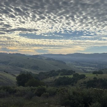 Santa Teresa County Park - View, nature side - Parks Near Me - San Jose, California Santa Teresa County Park - View, nature side - Parks Near Me - San Jose, California