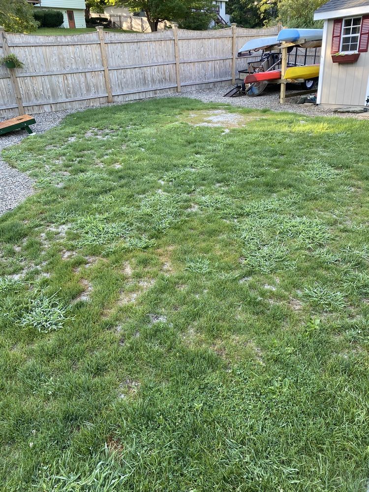 RYAN LANDSCAPING & LAWN CARE Updated September 2024 10 Goodrich St