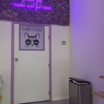 Purr-fecto Cat Lounge - The appropriately named Human Litter Box :D ! - Animal Shelters Near Me - Austin, Texas Purr-fecto Cat Lounge - The appropriately named Human Litter Box :D ! - Animal Shelters Near Me - Austin, Texas