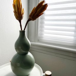 Protea Protea