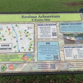 Keahua Arboretum - 10/19/22 I didn't know this was an arboretum - Parks Near Me - Kapaa, Hawaii Keahua Arboretum - 10/19/22 I didn't know this was an arboretum - Parks Near Me - Kapaa, Hawaii
