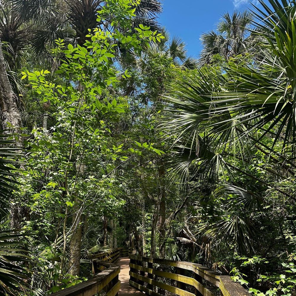 Black Bear Wilderness Area - Hiking Near Me - Sanford, Florida