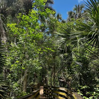 Black Bear Wilderness Area - Hiking Near Me - Sanford, Florida