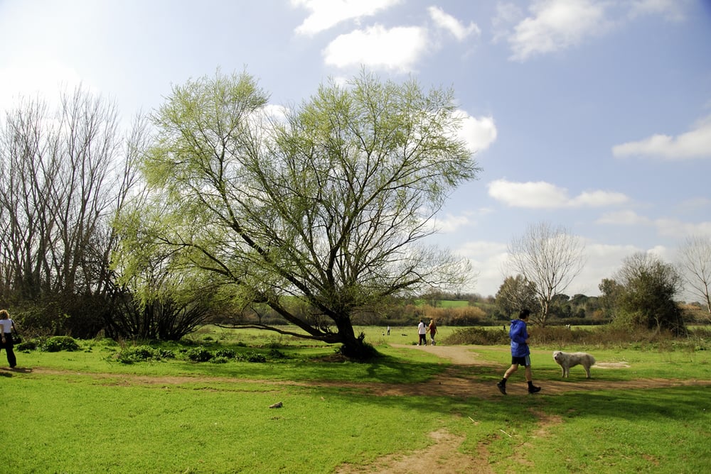 Parco della Caffarella