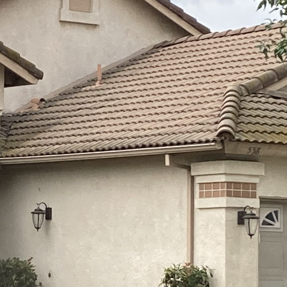Real Tree Service - fixed gutter - Tree Services Near Me Real Tree Service - fixed gutter - Tree Services Near Me