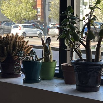 Thump Coffee - Coffee & Tea Near Me - Denver, Colorado