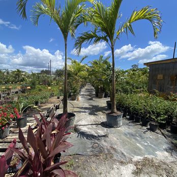 707 Nursery - Nurseries & Gardening Near Me - Jensen Beach, Florida