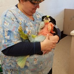 Riley Rue Pet Spaw