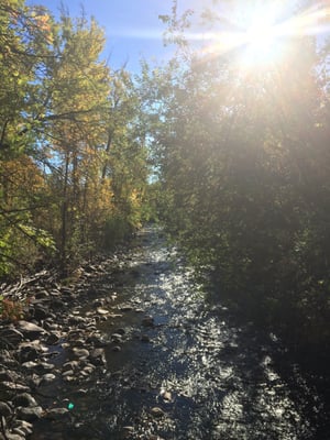 Greenough Park by null