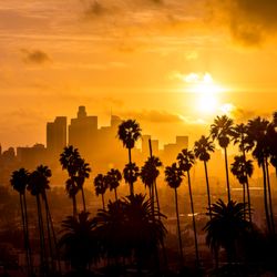 Highway DTLA - DTLA cannabis delivery