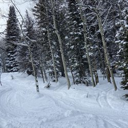 Beaver Mountain Ski Resorts, Weather & Snow Report - Powder