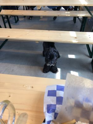 Willkommen Bier & Wein Garten by null