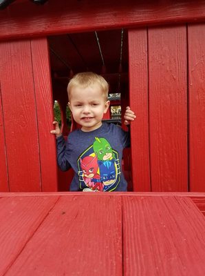 Siegel's Cottonwood Farm by null