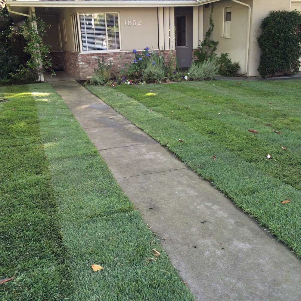 Total Landscape - Landscaping Near Me Total Landscape - Landscaping Near Me