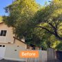 O.C.O. Landscaping