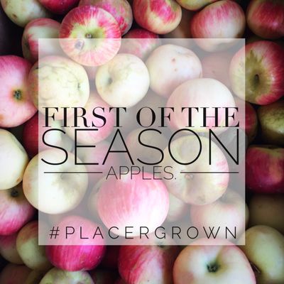 Placergrown Farmers' Market, Fountains at Roseville by null