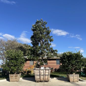 Moon Valley Nurseries - Nurseries & Gardening Near Me - McKinney, Texas