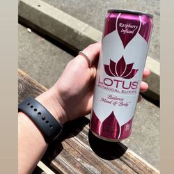 Java 101 - Lotus Can