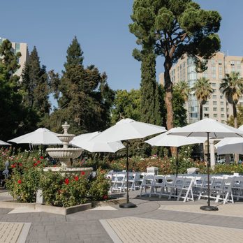 Petite Events - Party Equipment Rentals Near Me - Sacramento, California Petite Events - Party Equipment Rentals Near Me - Sacramento, California
