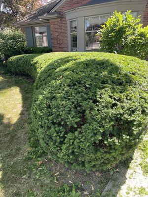 Yardners Lawn Maintenance