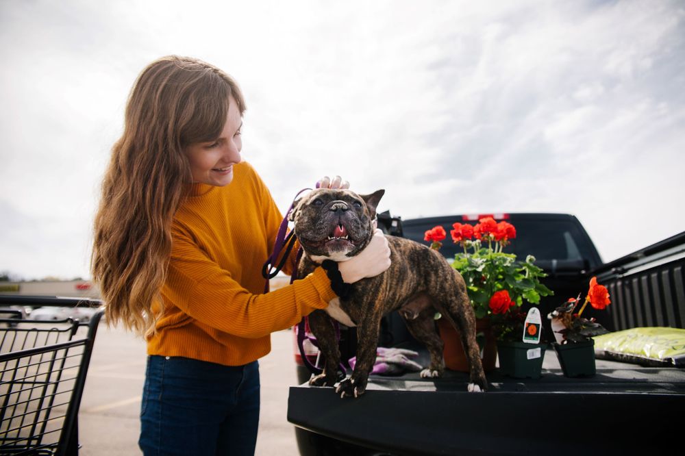 BEST BUY USED CARS 21 Photos 4640 Division Ave S, Grand Rapids