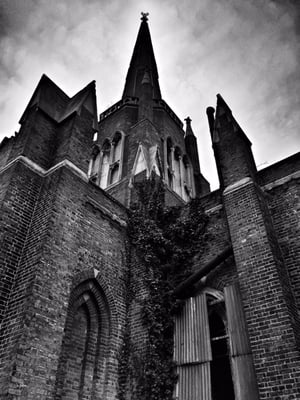 Abney Park Cemetery Trust by null
