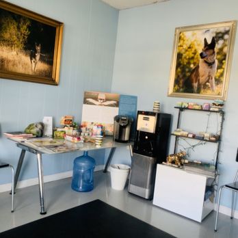 Petlight Therapy Center - Waiting area - Veterinarians Near Me - Cupertino, California Petlight Therapy Center - Waiting area - Veterinarians Near Me - Cupertino, California