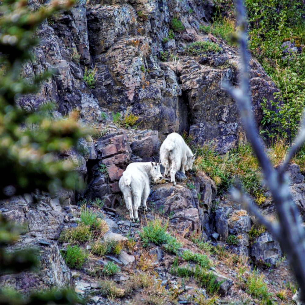 Fall Mountain Lookout Tower