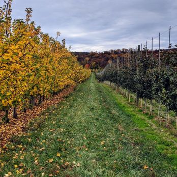 Melick Orchards - Farmers Market Near Me - Califon, New Jersey