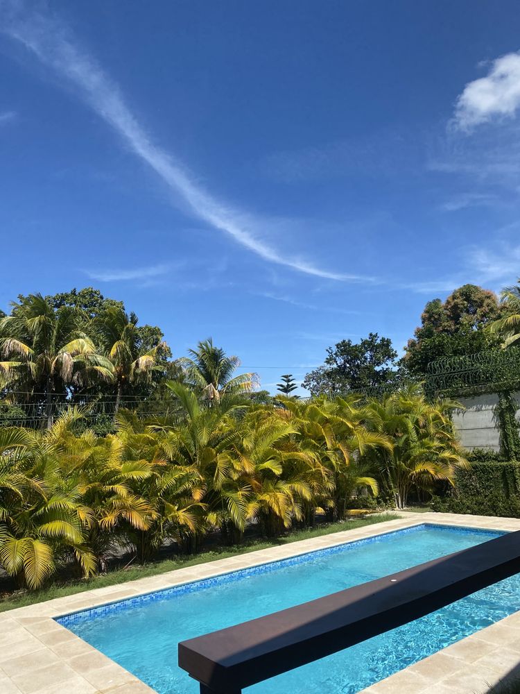 WALDEMAR LANDSCAPING Updated August 2024 12 Photos Davie, Florida Landscaping Phone