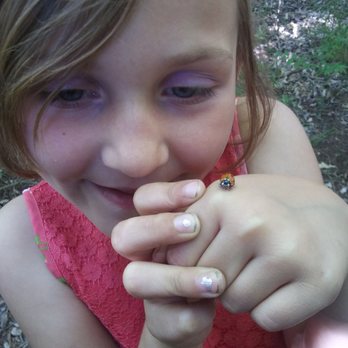 Roman Nose State Park - Found a ladybug - Campgrounds Near Me - Watonga, Oklahoma