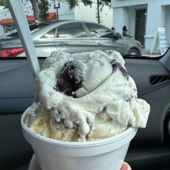 Ice Cream Theory - Blueberry Cheesecake & Banana Pudding - Gelato Near Me - Oldsmar, Florida
