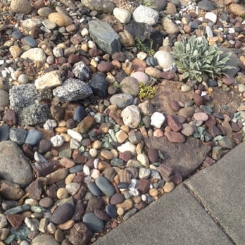 Reynoso's Stoneworks - Starting on the rock pond for me .. Will be using Mexican river stones n other similar rocks.. Work in progress - Masonry/Concrete Near Me Reynoso's Stoneworks - Starting on the rock pond for me .. Will be using Mexican river stones n other similar rocks.. Work in progress - Masonry/Concrete Near Me