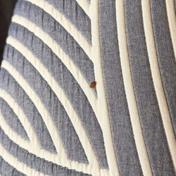 Blue Creek Inn - Bed bug
