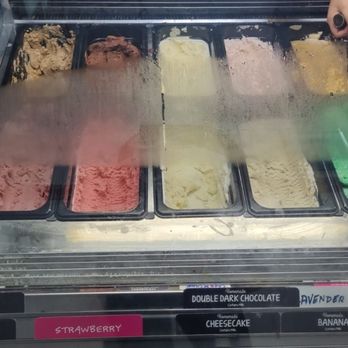 The Magic Cow - Ice Cream & Frozen Yogurt Near Me - Davie, Florida The Magic Cow - Ice Cream & Frozen Yogurt Near Me - Davie, Florida