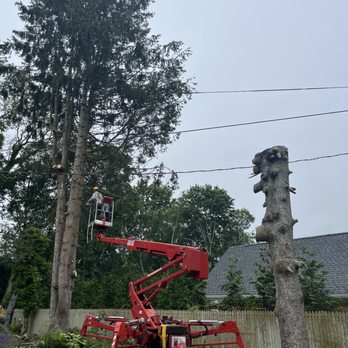 Dream Yard Landscaping - Tree cutting east Hampton NY - Landscape Architects or Designers Near Me Dream Yard Landscaping - Tree cutting east Hampton NY - Landscape Architects or Designers Near Me