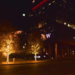 EZ Holiday Lights - Decorative holiday lights commercial installation