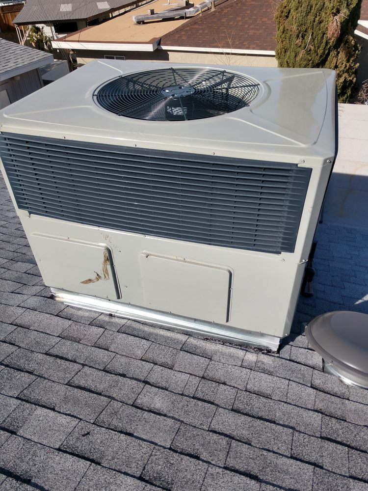 Slide of Johnny On The Spot