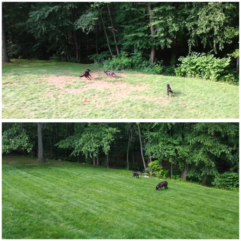 HILLSIDE LANDSCAPING CO. 51 Photos Landscaping 162 Burnham St