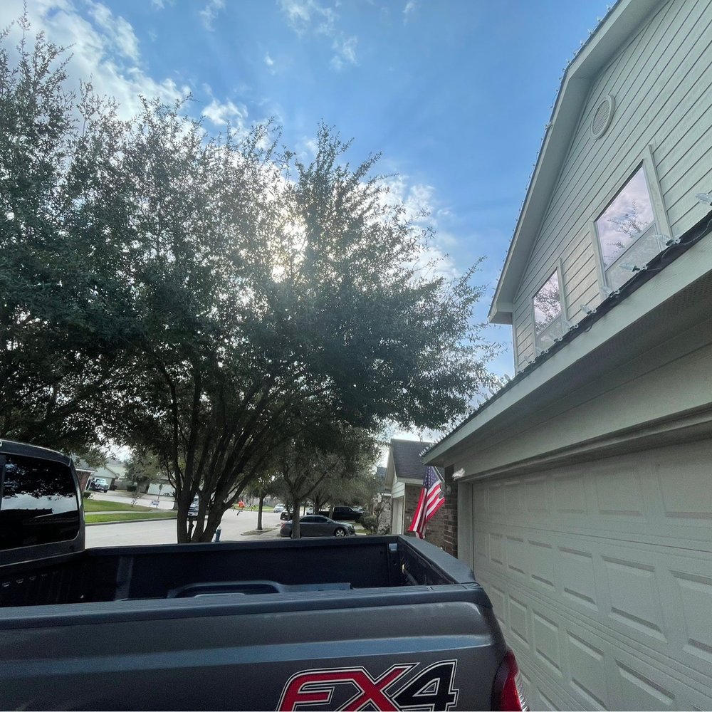 Alfaro's Tree & Dumpster Services - Before 01 - Tree Services Near Me