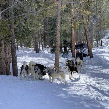 Good Times Adventures - Tours Near Me - Breckenridge, Colorado Good Times Adventures - Tours Near Me - Breckenridge, Colorado