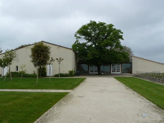 Château Mouton Rothschild by null