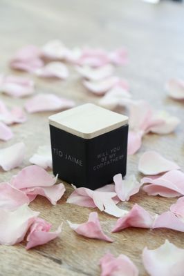 TAJA Collection by null