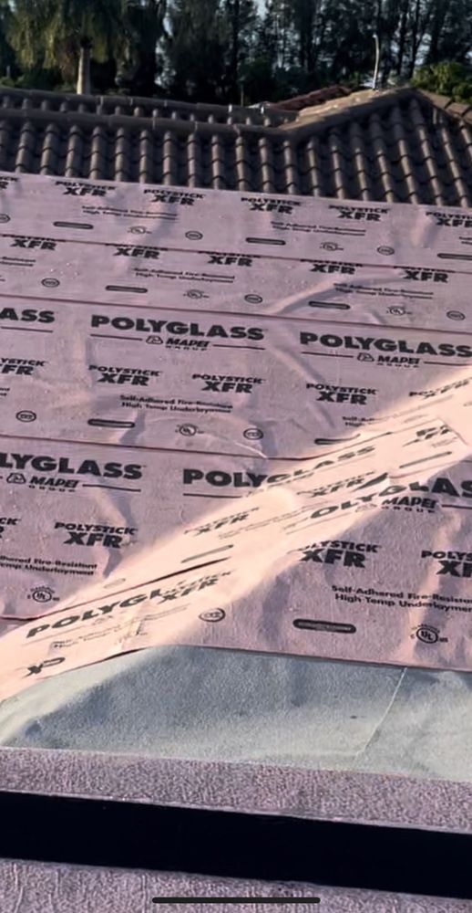 Slide of Roof Giants