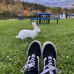 Hi friend! Hi friend!