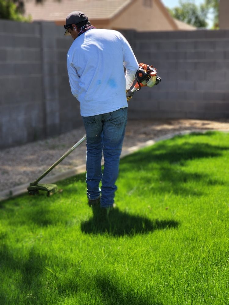 Catalina Landscaping - veterans service organization in Mesa, AZ