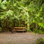 Photo of Surf Junction Campground and RV Park